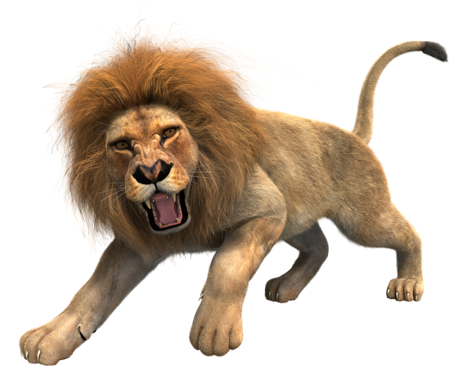 lion